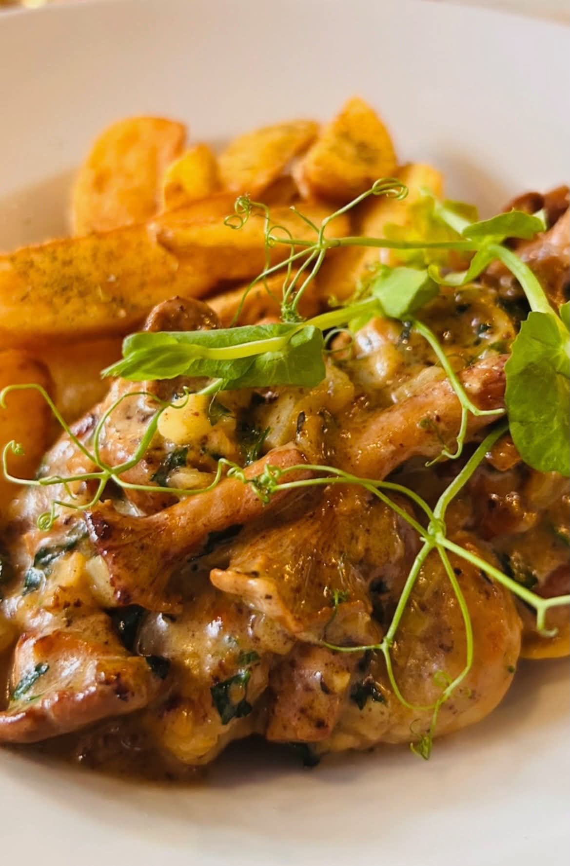 Kurczak w sosie z kurkami z frytkami